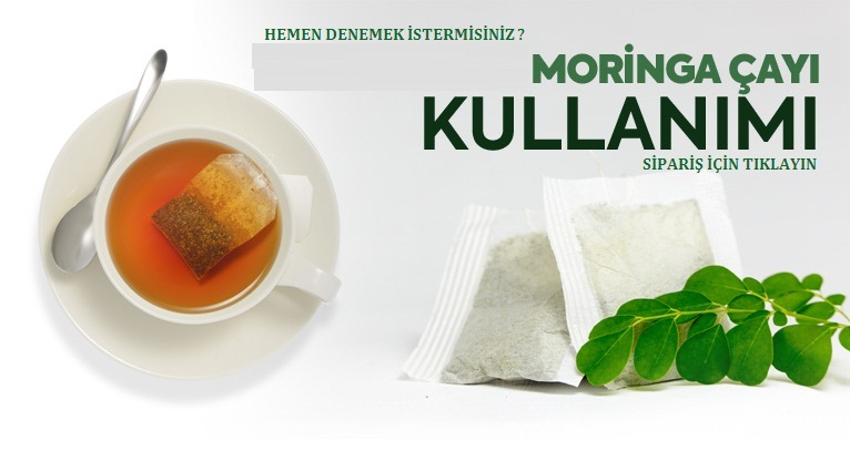 moringa cayi kullanimi nasildir